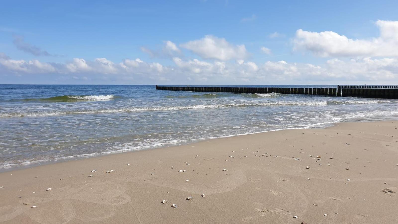 "Ab Zum Strand" Ferienwohnung Mit Balkon 젤핀 외부 사진